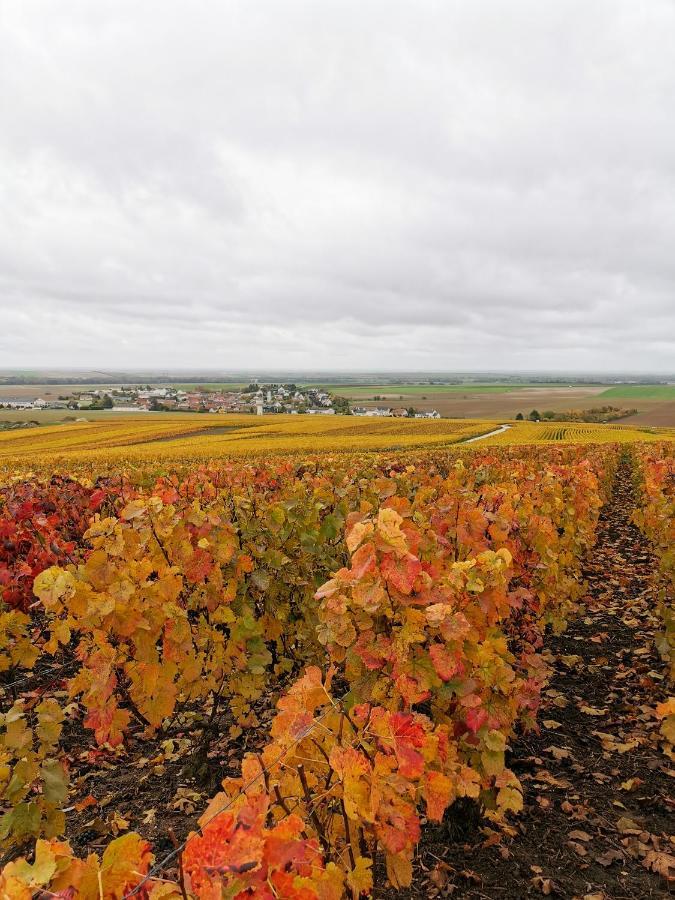 Le Clos Du Moulin Vaudemange Esterno foto
